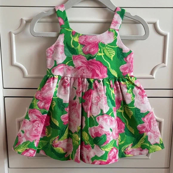 NWT Janie and Jack Baby Girl Rose Pleated Pink & Green Dress Size 3-6 Months - Picture 2 of 9
